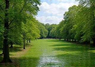 London's Royal Parks